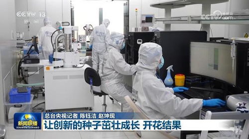 让创新的种子茁壮成长 开花结果