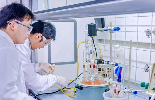 向前冲 科研人 药石科技李轶 以产品引导研发,解锁创新 密码