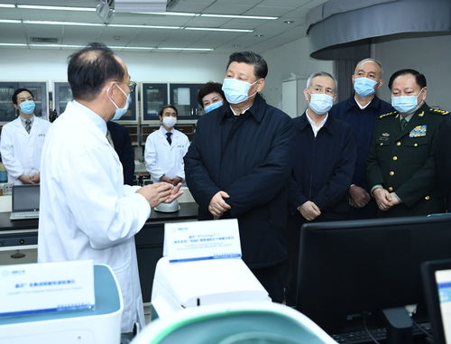 塞尔维亚av