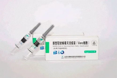 60多家上市公司参与 这场重大国际经贸活动就要来了
