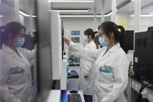 山东青岛 万种鱼类绘 家谱