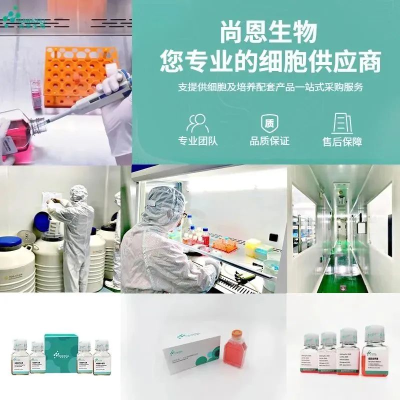 慕尼黑上海展