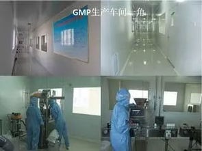 修复细胞,青春健康 健康 网