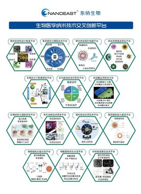 精品速递│NanoEast全系列微纳米材料,助力生命科学创新与医学应用