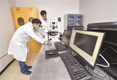 转出高质量发展第一动力