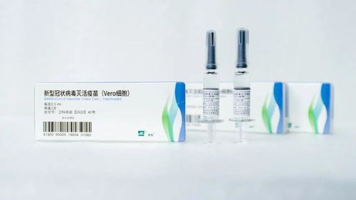 光谷之东的这座 城 ,曾为我们拼过命