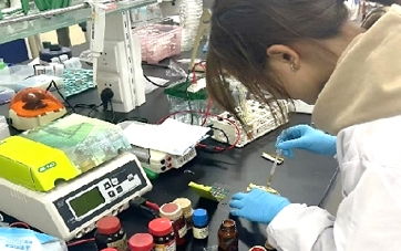 血蛤逆袭记 宁波大学生把海鲜变补铁神器,颠覆传统补铁产业