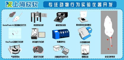 吃药后能上班却不想社交 科学家揭示抗抑郁药对两类动机相反作用机制