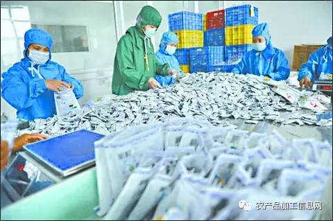 科研推动农产品加工技术发展