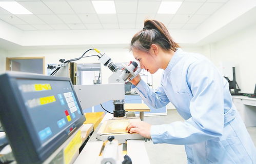衡水新闻网
