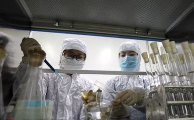 商机挖掘 如何用40亿只蟑螂，吃掉一个600亿的市场？