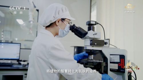 科研筑基与文化赋能 植物医生的品牌成长双轮驱动模式