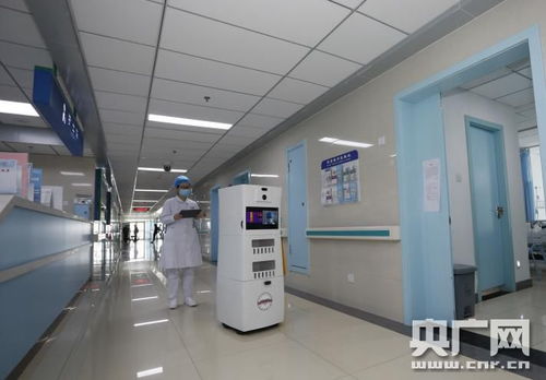 攥紧拳头与张开巴掌 杨善林院士的科研产品创新之道